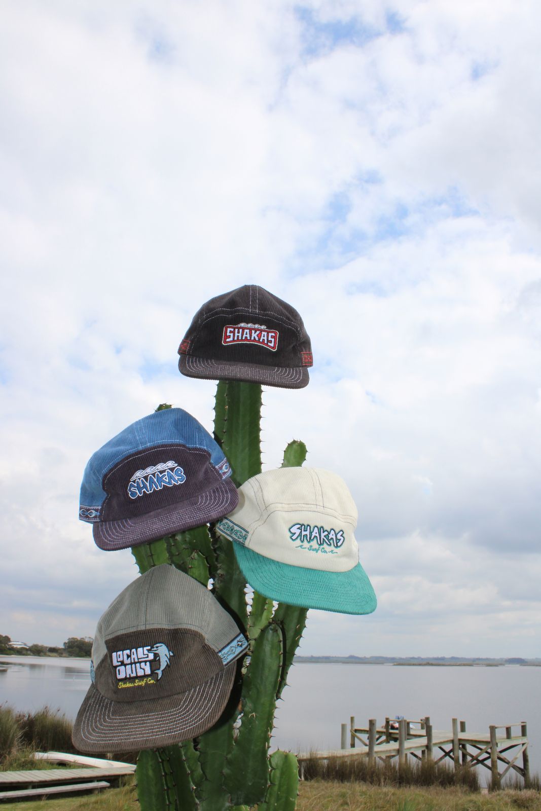 Los cuatro gorros Shakas colgados de un cactus